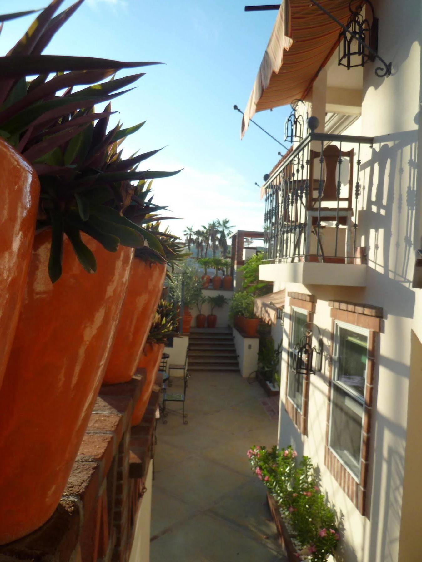 The Suites By Villa Valentina San José del Cabo Dış mekan fotoğraf